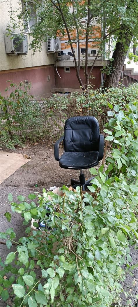 casualro reddit|Nesimțire pură din partea Fan Courier : r/CasualRO .
